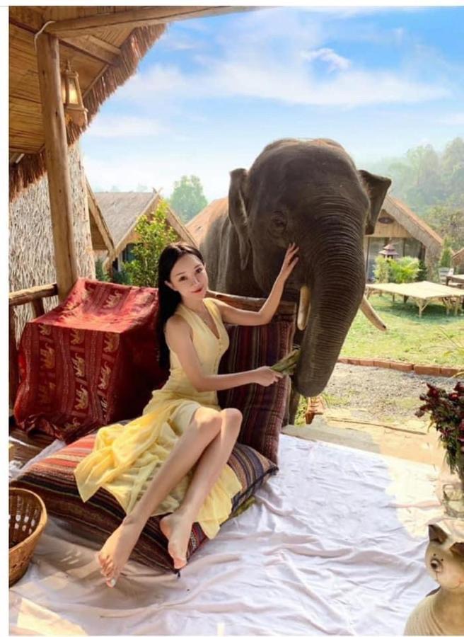 3 Pok Maewang Jinxiang Gold Elephant Park Mae Wang Eksteriør billede